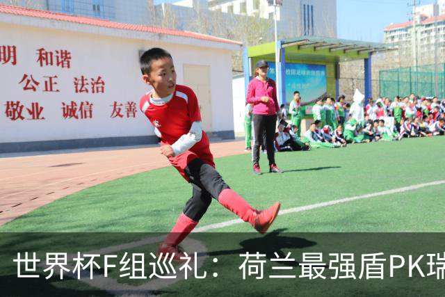 世界杯F组巡礼：荷兰最强盾PK瑞典犀利刀 日本短板明显